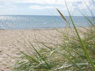 Stuga i Yngsjö, Åhus, Österlen, Kristianstad